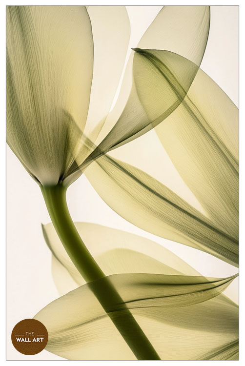 images/products/transparent_leaves_ii/transparent_leaves II_WHITE_P.jpg